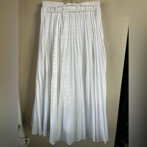 Banana Republic Pleated Poplin Maxi Skirt